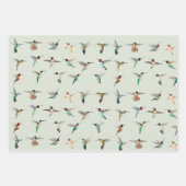 Noord-Amerikaanse mensvogels Inpakpapier Vel (Voorkant 2)