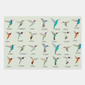 Noord-Amerikaanse mensvogels Inpakpapier Vel (Voorkant)