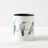 Noord-Amerikaanse mensvogels Mok (Midden)