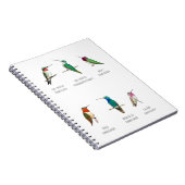 Noord-Amerikaanse mensvogels Notitieboek (Rechterzijde)