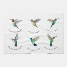 Noord-Amerikaanse mensvogels