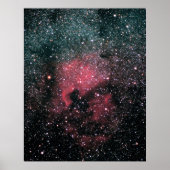 Noord-Amerikaanse Nebula Poster (Voorkant)
