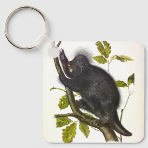 Noord-Amerikaanse of Canada Porcupine door Audubon Sleutelhanger