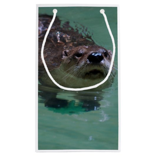 Noord-Amerikaanse Otter Klein Cadeauzakje (Achterkant)