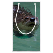 Noord-Amerikaanse Otter Klein Cadeauzakje (Voorkant)