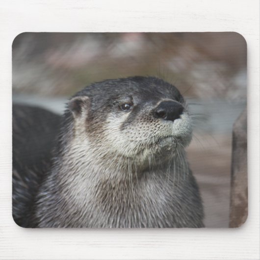 Noord-Amerikaanse Otter Mousepad Muismat (Voorkant)