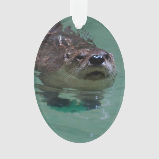 Noord-Amerikaanse Otter Ornament (voorkant)