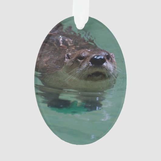 Noord-Amerikaanse Otter Ornament (achterkant)