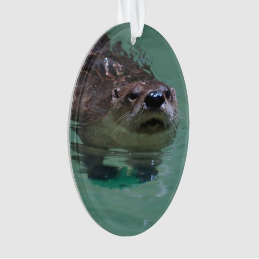 Noord-Amerikaanse Otter Ornament (voorkant)