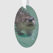 Noord-Amerikaanse Otter Ornament (voorkant)