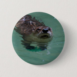 Noord-Amerikaanse Otter Ronde Button 5,7 Cm
