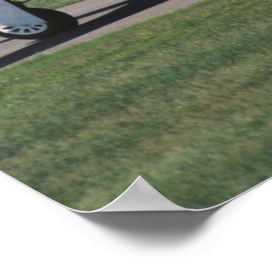 Noord-Amerikaanse P-51 D Dazzling Donna op de Poster (Hoek)