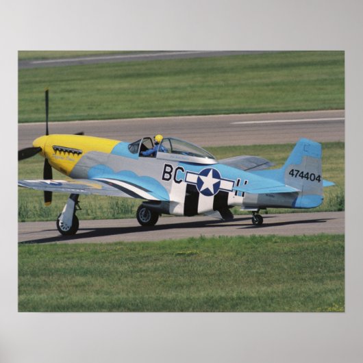 Noord-Amerikaanse P-51 D Dazzling Donna op de Poster (Voorkant)
