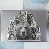 Noord-Amerikaanse roofdieren Sticker