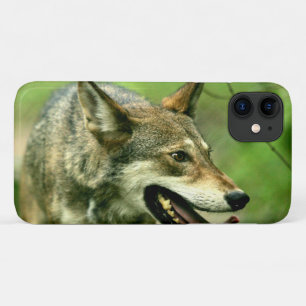 Noord-Amerikaanse Sly Red Wolf Case-Mate iPhone Case