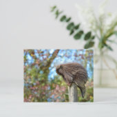 Noord-Amerikaanse stekelvarken Briefkaart (Staand voorkant)