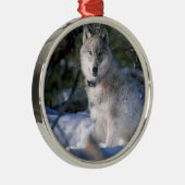 Noord-Amerikaanse Timber Wolf in Snow Metalen Ornament (Rechts)