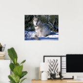 Noord-Amerikaanse Timber Wolf in Snow Poster (Thuiskantoor)