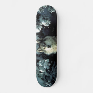 Noord-Amerikaanse Timber Wolf in Snow Skateboard