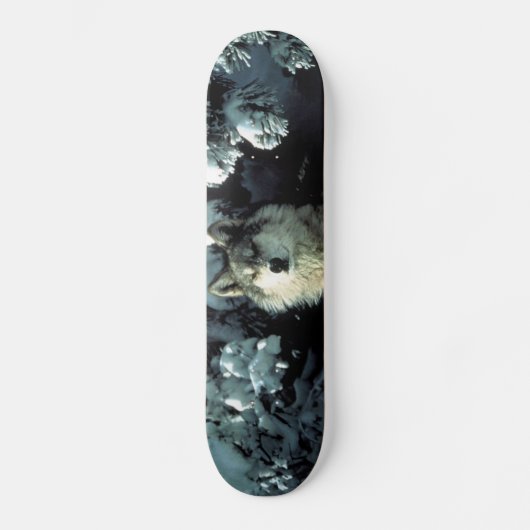 Noord-Amerikaanse Timber Wolf in Snow Skateboard (Voorkant)