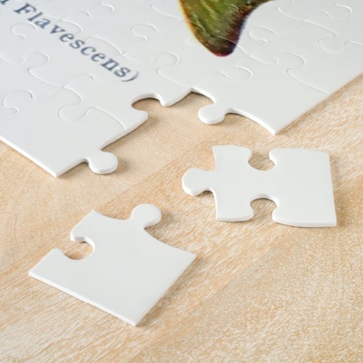 Noord-Amerikaanse vis Legpuzzel (Zijkant)