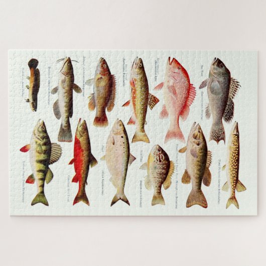  Noord-Amerikaanse vis Legpuzzel (Horizontaal)