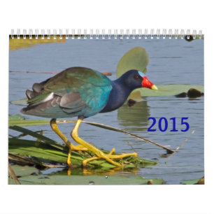 Noord-Amerikaanse vogelkalender 2015 Kalender