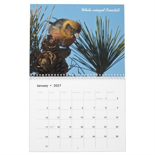 Noord-Amerikaanse vogelkalender 2015 Kalender (Jan 2027)