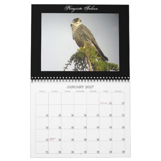 Noord-Amerikaanse vogelkalender Kalender (Jan 2027)