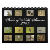 Noord-Amerikaanse vogelkalender Kalender (Hoes)