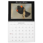 Noord-Amerikaanse vogelkalender Kalender (Mar 2027)