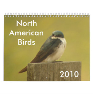 Noord-Amerikaanse vogels 2010 Kalender