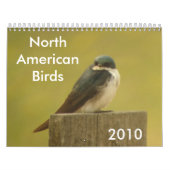 Noord-Amerikaanse vogels 2010 Kalender (Hoes)