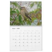 Noord-Amerikaanse vogels 2010 Kalender (Mar 2027)