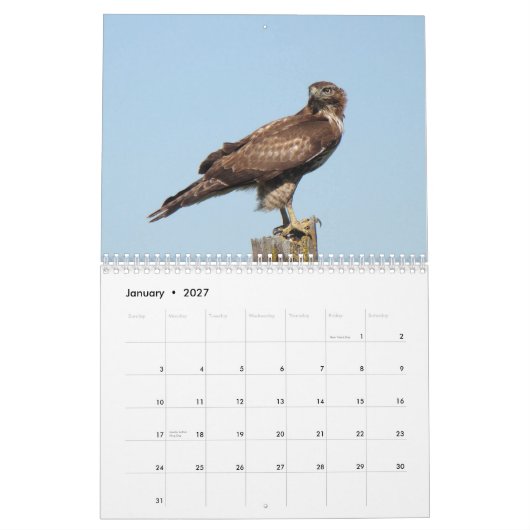Noord-Amerikaanse vogels 2010 Kalender (Jan 2027)