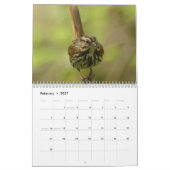 Noord-Amerikaanse vogels 2010 Kalender (Feb 2027)