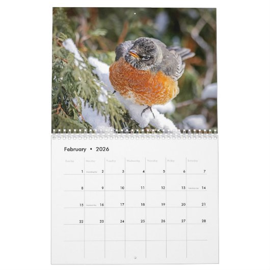 Noord-Amerikaanse Vogels 2026 Kalender (Feb 2026)