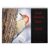 Noord-Amerikaanse Vogels 2026 Kalender (Hoes)