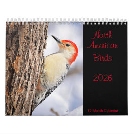 Noord-Amerikaanse Vogels 2026 Kalender