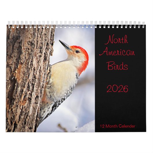 Noord-Amerikaanse Vogels 2026 Kalender (Hoes)
