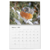 Noord-Amerikaanse Vogels 2026 Kalender (Feb 2027)