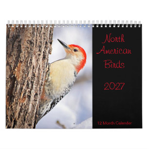 Noord-Amerikaanse Vogels 2027 Agenda Kalender