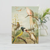 Noord-Amerikaanse vogels | Anton Goering (Staand voorkant)