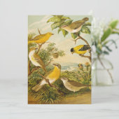 Noord-Amerikaanse vogels | Anton Goering (Staand voorkant)