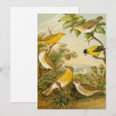 Noord-Amerikaanse vogels | Anton Goering (Voorkant / Achterkant)