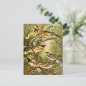 Noord-Amerikaanse vogels | Anton Goering Briefkaar Briefkaart (Staand voorkant)