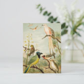 Noord-Amerikaanse vogels | Anton Goering Briefkaart (Staand voorkant)