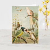 Noord-Amerikaanse vogels | Anton Goering Kaart (Gele Bloem)