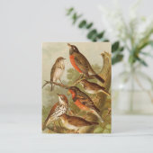 Noord-Amerikaanse vogels | Briefkaart Gustav Mü t (Staand voorkant)