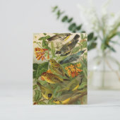 Noord-Amerikaanse vogels | Briefkaart Gustav Mü t (Staand voorkant)